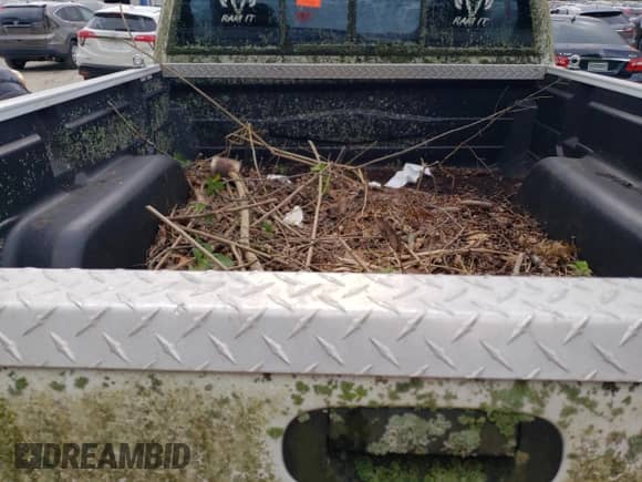 1998 Dodge 1500 z VIN 1B7HF16Y7WS591347, wystawiony jako Copart lot #73014624 z przebiegiem Nie podano mil oraz Czysty tytuł • Clean title. Historia ofert i sprzedaży dostępna na DreamBid. Obrazek 10.