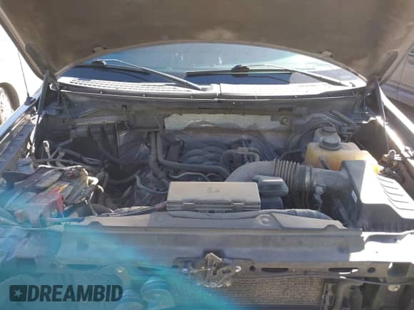 2013 Ford F-150 XL with VIN 1FTFW1EF5DKG23264, listed as a IAAI auction lot 43490053 with 289,526 mi miles and . Bid and sale history available at DreamBid. Image 10.