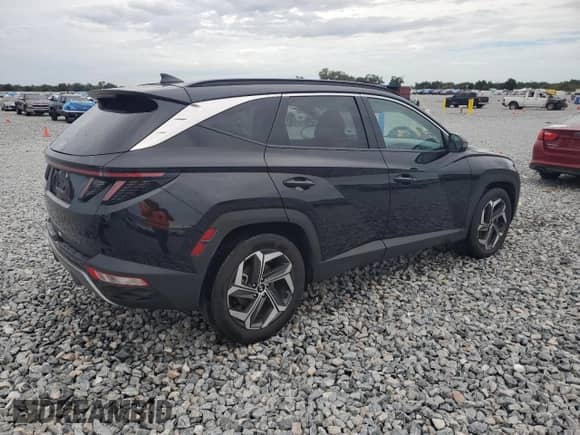 2024 Hyundai Tucson Limited with VIN 5NMJE3DE4RH347938, listed as a Copart auction lot 69959965 with 44,311 mi miles and Clean title. Bid and sale history available at DreamBid. Image 3.