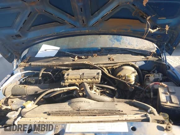 2001 Dodge 1500 with VIN 3B7HF13YX1G208960, listed as a IAAI auction lot 43457929 with Not provided miles and . Bid and sale history available at DreamBid. Image 10.