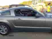 2005 Ford Mustang Deluxe with VIN 1ZVFT80N855119319, listed as a IAAI auction lot 43340661 with 106,385 mi miles and . Bid and sale history available at DreamBid. Image 13.