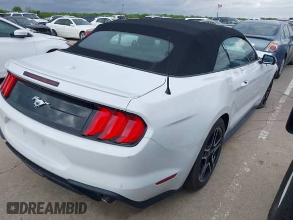 2023 Ford Mustang EcoBoost with VIN 1FATP8UH8P5111289, listed as a IAAI auction lot 41125373 with 13,219 mi miles and . Bid and sale history available at DreamBid. Image 4.