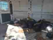 2019 Ram ProMaster Cargo с VIN 3C6TRVAG5KE501835, выставлен на аукционе IAAI как лот 43317000 с пробегом 192 603 миль миль и . История ставок и продаж доступна на DreamBid. Изображение 8.