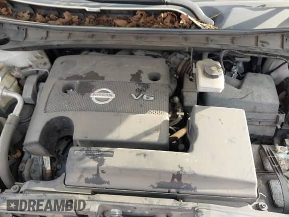 2017 Nissan Murano S with VIN 5N1AZ2MG7HN169696, listed as a IAAI auction lot 43514941 with 114,066 mi miles and . Bid and sale history available at DreamBid. Image 10.