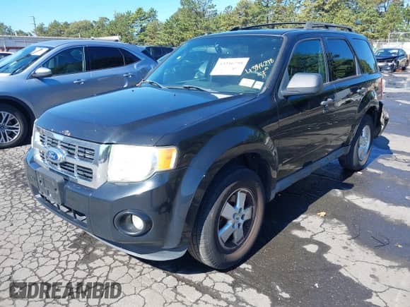 2011 Ford Escape XLT с VIN 1FMCU9DGXBKB69331, выставлен на аукционе IAAI как лот 43346798 с пробегом 231 571 миль миль и . История ставок и продаж доступна на DreamBid. Изображение 2.