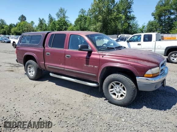 2001 Dodge Dakota with VIN 1B7GG2AZ41S152288, listed as a Copart auction lot 59952635 with 167,721 mi miles and Clean title. Bid and sale history available at DreamBid. Image 4.