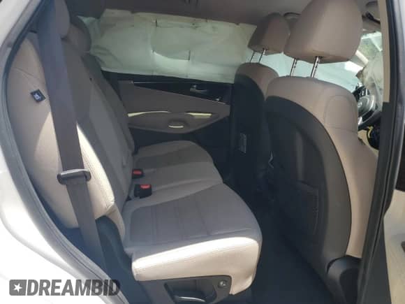 2020 Kia Sorento LX with VIN 5XYPG4A33LG651034, listed as a Copart auction lot 64613505 with 56,871 mi miles and Salvage title. Bid and sale history available at DreamBid. Image 10.