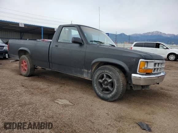 1991 Dodge Dakota SLT z VIN 1B7FL26X2MS342836, wystawiony jako Copart lot #58154275 z przebiegiem 153 466 mil mil oraz Nie do naprawy • Non repairable. Historia ofert i sprzedaży dostępna na DreamBid. Obrazek 4.