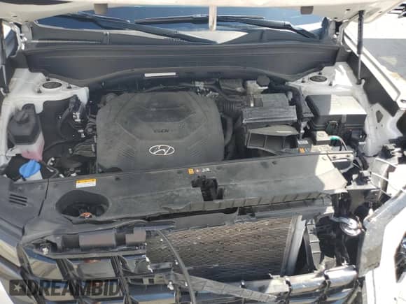 2024 Hyundai Palisade XRT с VIN KM8R34GE4RU693700, выставлен на аукционе Copart как лот 58491425 с пробегом 28 121 миль миль и Списание • Salvage title. История ставок и продаж доступна на DreamBid. Изображение 12.