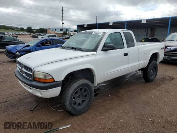 2004 Dodge Dakota Sport with VIN 1D7HG32NX4S603420, listed as a Copart auction lot 70382335 with 204,265 mi miles and Salvage title. Bid and sale history available at DreamBid. Image 1.