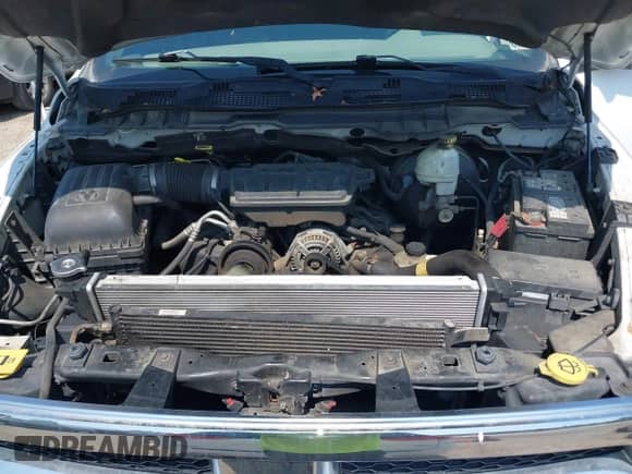 2010 Dodge 1500 SLT z VIN 1D7RV1CP2AS253131, wystawiony jako IAAI lot #42693822 z przebiegiem 147 796 mil mil oraz . Historia ofert i sprzedaży dostępna na DreamBid. Obrazek 10.