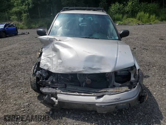 1999 Subaru Forester S with VIN JF1SF6557XH730701, listed as a Copart auction lot 65169235 with 142,246 mi miles and Salvage title. Bid and sale history available at DreamBid. Image 5.