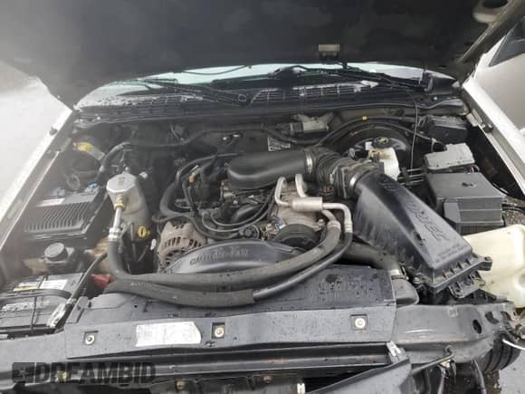 2000 Chevrolet S-10 LS with VIN 1GCCS19W5Y8229551, listed as a Copart auction lot 82489125 with 280,717 mi miles and Salvage title. Bid and sale history available at DreamBid. Image 11.