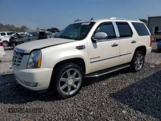 2007 Cadillac Escalade with VIN 1GYFK63847R120179, listed as a Copart auction lot 80402095 with Not provided miles and Salvage title. Bid and sale history available at DreamBid. Image 1.