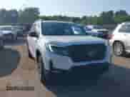 2023 Honda Passport TrailSport с VIN 5FNYF8H66PB004297, выставлен на аукционе IAAI как лот 42407299 с пробегом 19 222 миль миль и . История ставок и продаж доступна на DreamBid. Изображение 12.