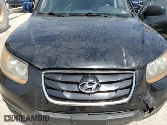 2010 Hyundai Santa Fe GLS с VIN 5NMSGDAB7AH417015, выставлен на аукционе Copart как лот 70828745 с пробегом 216 160 миль миль и Списание • Salvage title. История ставок и продаж доступна на DreamBid. Изображение 12.