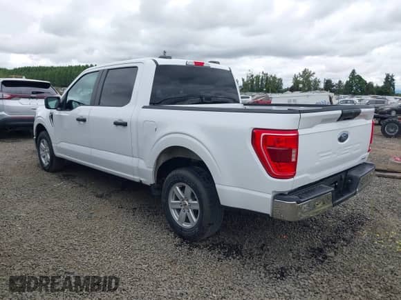 2023 Ford F-150 XL с VIN 1FTEW1C89PKD35641, выставлен на аукционе IAAI как лот 42519857 с пробегом 55 536 миль миль и . История ставок и продаж доступна на DreamBid. Изображение 3.