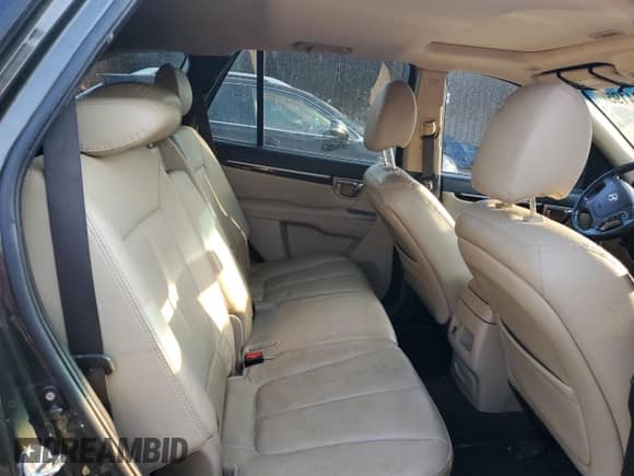 2010 Hyundai Santa Fe Limited with VIN 5NMSKDAG1AH386239, listed as a Copart auction lot 66294195 with 145,737 mi miles and Salvage title. Bid and sale history available at DreamBid. Image 10.