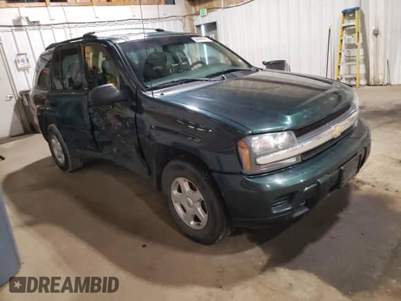 2002 Chevrolet TrailBlazer LS with VIN 1GNDT13S122487638, listed as a Copart auction lot 84998785 with 146,604 mi miles and Salvage title. Bid and sale history available at DreamBid. Image 4.