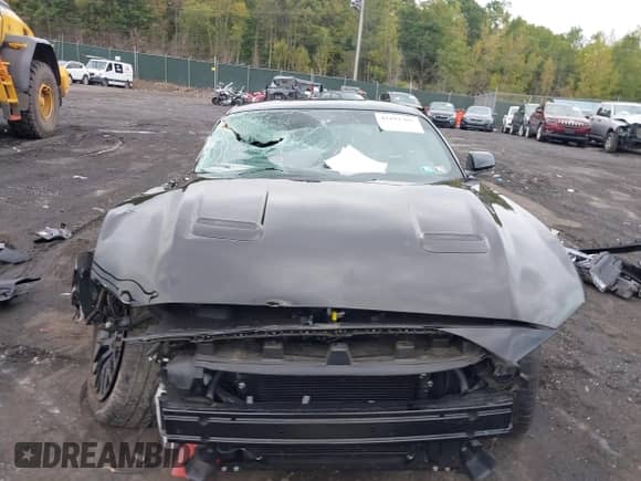 2019 Ford Mustang GT z VIN 1FA6P8CF4K5124160, wystawiony jako IAAI lot #43291307 z przebiegiem 19 959 mil mil oraz . Historia ofert i sprzedaży dostępna na DreamBid. Obrazek 12.