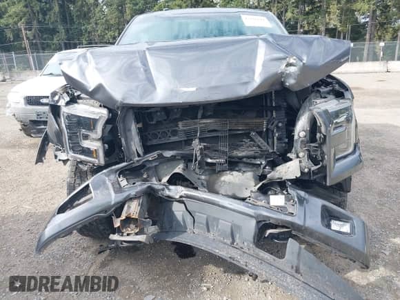 2017 Ford F-150 XL z VIN 1FTEW1EF1HFB45502, wystawiony jako IAAI lot #43426611 z przebiegiem 148 466 mil mil oraz . Historia ofert i sprzedaży dostępna na DreamBid. Obrazek 6.