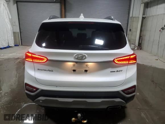 2019 Hyundai Santa Fe Limited with VIN 5NMS5CAA6KH134419, listed as a Copart auction lot 85585935 with 132,018 mi miles and Clean title. Bid and sale history available at DreamBid. Image 6.
