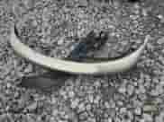 1999 Ford F-150 XL z VIN 2FTRX07W0XCA56178, wystawiony jako Copart lot #79064324 z przebiegiem 188 479 mil mil oraz Szkoda całkowita • Salvage title. Historia ofert i sprzedaży dostępna na DreamBid. Obrazek 12.