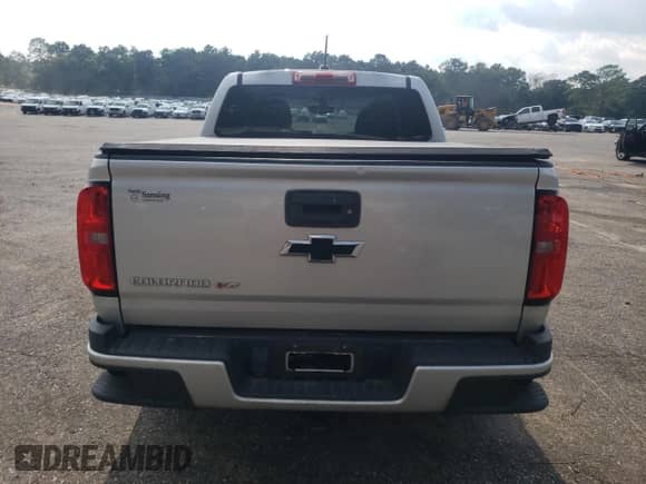 2020 Chevrolet Colorado 4WD Work Truck with VIN 1GCGTBEN0L1206360, listed as a Copart auction lot 69076495 with Not provided miles and Clean title. Bid and sale history available at DreamBid. Image 6.