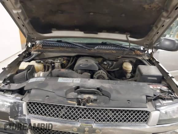 2005 Chevrolet Silverado 1500 LT with VIN 2GCEK13T951132388, listed as a IAAI auction lot 42069557 with 266,284 mi miles and . Bid and sale history available at DreamBid. Image 10.