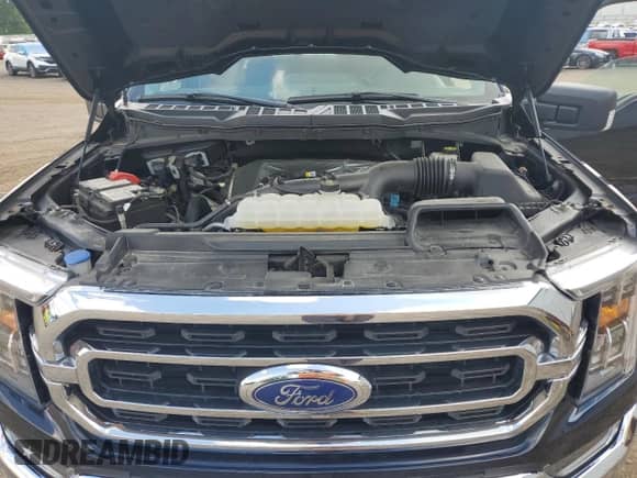 2023 Ford F-150 XL z VIN 1FTEW1EP2PKF67342, wystawiony jako Copart lot #68725225 z przebiegiem 15 883 mil mil oraz Czysty tytuł • Clean title. Historia ofert i sprzedaży dostępna na DreamBid. Obrazek 11.