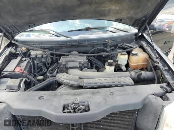 2005 Ford F-150 XL with VIN 1FTRF14585NA21240, listed as a Copart auction lot 64828955 with 238,716 mi miles and Salvage title. Bid and sale history available at DreamBid. Image 12.