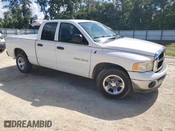 2004 Dodge 1500 SLT с VIN 1D7HA18N54S736485, выставлен на аукционе Copart как лот 69194655 с пробегом 264 542 миль миль и Списание • Salvage title. История ставок и продаж доступна на DreamBid. Изображение 4.