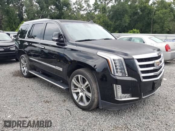 2016 Cadillac Escalade Premium Collection with VIN 1GYS4CKJ8GR307663, listed as a Copart auction lot 80169565 with 137,854 mi miles and Clean title. Bid and sale history available at DreamBid. Image 4.