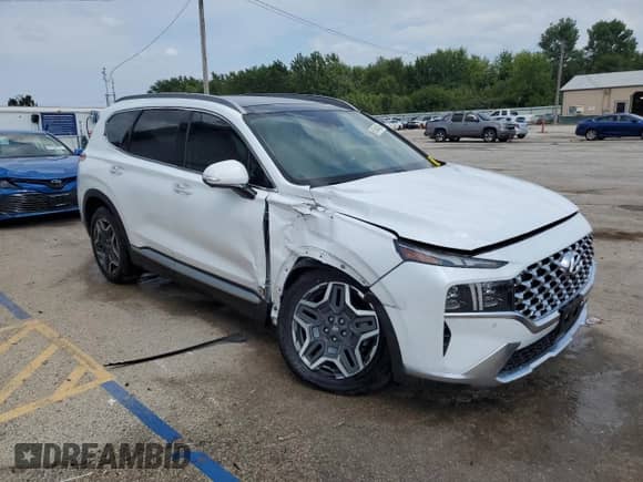 2021 Hyundai Santa Fe Limited with VIN 5NMS44AL3MH318813, listed as a Copart auction lot 67644385 with 38,696 mi miles and Salvage title. Bid and sale history available at DreamBid. Image 4.
