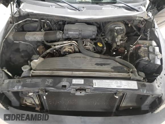 1996 Dodge 1500 with VIN 1B7HF16Z3TS706644, listed as a Copart auction lot 45739775 with 128,104 mi miles and Salvage title. Bid and sale history available at DreamBid. Image 11.