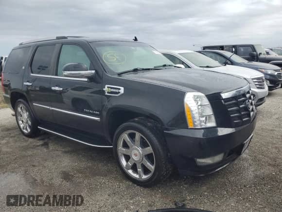 2010 Cadillac Escalade with VIN 1GYUKEEJ2AR220273, listed as a Copart auction lot 76156284 with 191,001 mi miles and Non repairable. Bid and sale history available at DreamBid. Image 4.