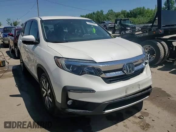 2019 Honda Pilot EX with VIN 5FNYF6H31KB081310, listed as a Copart auction lot 63064695 with 98,860 mi miles and Salvage title. Bid and sale history available at DreamBid. Image 14.
