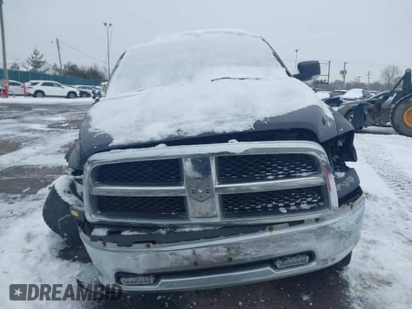 2009 Dodge 1500 Sport with VIN 1D3HV18T19S820931, listed as a IAAI auction lot 41602111 with 137,294 mi miles and . Bid and sale history available at DreamBid. Image 12.