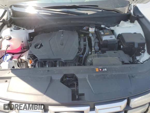 2025 Hyundai Santa Cruz SE with VIN 5NTJA4DE1SH139978, listed as a Copart auction lot 65811085 with 4,959 mi miles and Salvage title. Bid and sale history available at DreamBid. Image 11.