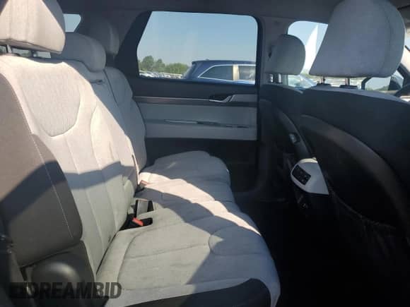 2020 Hyundai Palisade SE с VIN KM8R14HE3LU063730, выставлен на аукционе Copart как лот 59126384 с пробегом 102 511 миль миль и Списание • Salvage title. История ставок и продаж доступна на DreamBid. Изображение 11.