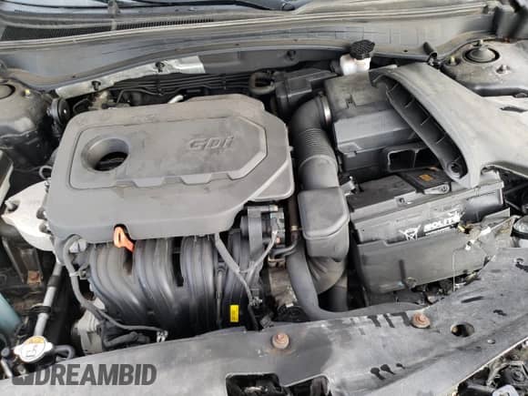 2018 Kia Optima LX with VIN 5XXGT4L3XJG265852, listed as a Copart auction lot 81731975 with 49,193 mi miles and Salvage title. Bid and sale history available at DreamBid. Image 11.