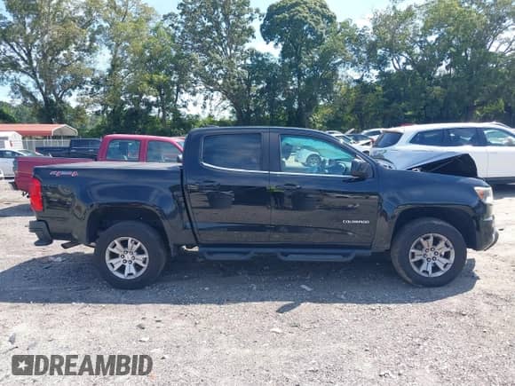 2019 Chevrolet Colorado 4WD LT z VIN 1GCGTCEN1K1106241, wystawiony jako IAAI lot #43085316 z przebiegiem 108 459 mil mil oraz . Historia ofert i sprzedaży dostępna na DreamBid. Obrazek 14.
