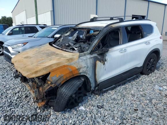 2023 Hyundai Santa Fe XRT with VIN 5NMS64AJ6PH617337, listed as a Copart auction lot 56915305 with Not provided miles and Non repairable. Bid and sale history available at DreamBid. Image 1.