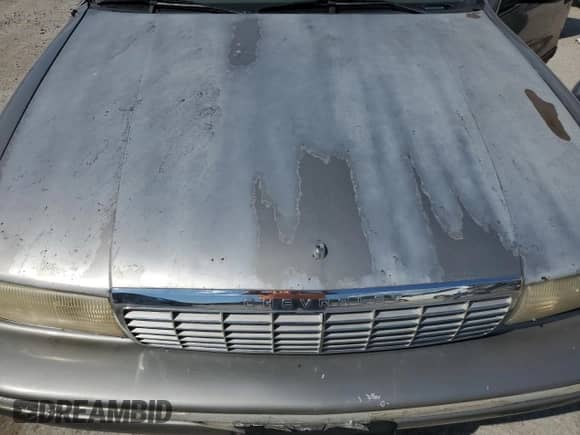 1995 Chevrolet Caprice с VIN 1G1BL52W0SR112951, выставлен на аукционе Copart как лот 69757535 с пробегом Не указан миль и Списание • Salvage title. История ставок и продаж доступна на DreamBid. Изображение 11.