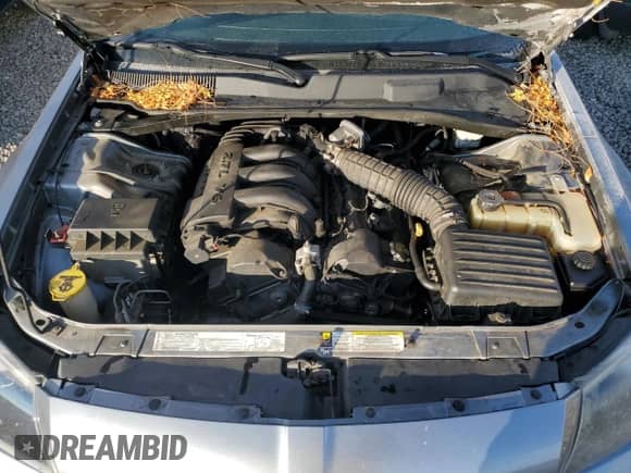 2007 Dodge Magnum с VIN 2D4FV47T97H750797, выставлен на аукционе Copart как лот 82851094 с пробегом 113 569 миль миль и Списание • Salvage title. История ставок и продаж доступна на DreamBid. Изображение 11.