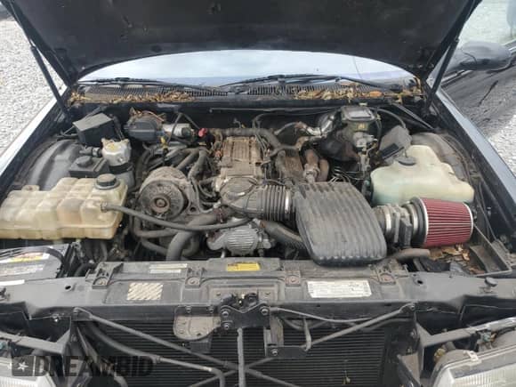 1996 Chevrolet Caprice 1SA Special Value с VIN 1G1BL52P3TR124750, выставлен на аукционе Copart как лот 68121955 с пробегом 122 603 миль миль и Списание • Salvage title. История ставок и продаж доступна на DreamBid. Изображение 11.