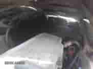 2000 Honda Odyssey EX z VIN 2HKRL1867YH555975, wystawiony jako IAAI lot #43233671 z przebiegiem 170 209 mil mil oraz . Historia ofert i sprzedaży dostępna na DreamBid. Obrazek 10.