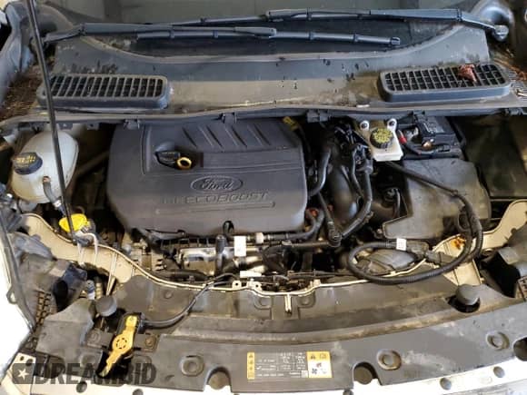 2017 Ford Escape SE с VIN 1FMCU9GD7HUE73439, выставлен на аукционе Copart как лот 81033735 с пробегом 179 814 миль миль и Чистый • Clean title. История ставок и продаж доступна на DreamBid. Изображение 12.