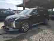 2023 Hyundai Palisade Limited с VIN KM8R54GE7PU528473, выставлен на аукционе Copart как лот 81499425 с пробегом 42 747 миль миль и Списание • Salvage title. История ставок и продаж доступна на DreamBid. Изображение 1.