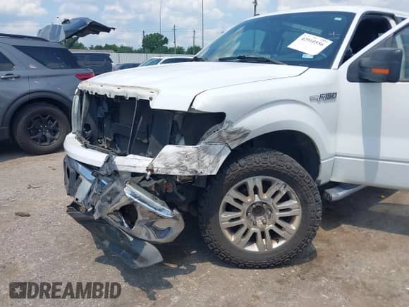 2011 Ford F-150 XL with VIN 1FTEW1CM0BFA40006, listed as a IAAI auction lot 42910556 with Not provided miles and . Bid and sale history available at DreamBid. Image 6.